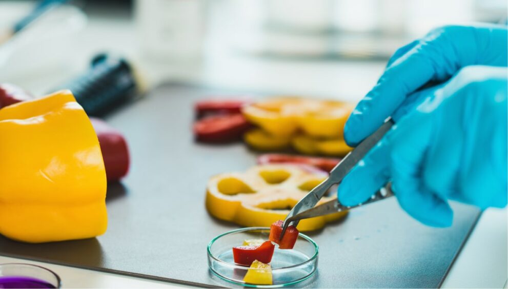 Фитосанитарный и ветеринарный контроль